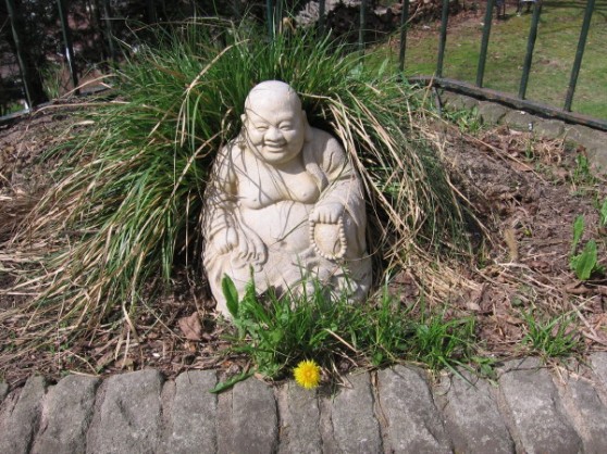 Spring Buddha